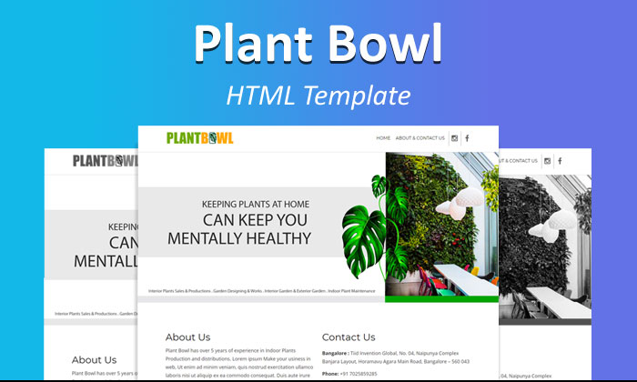 blog-image