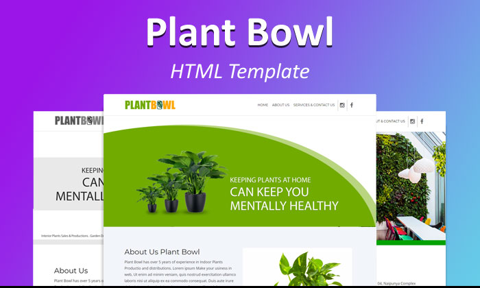 blog-image