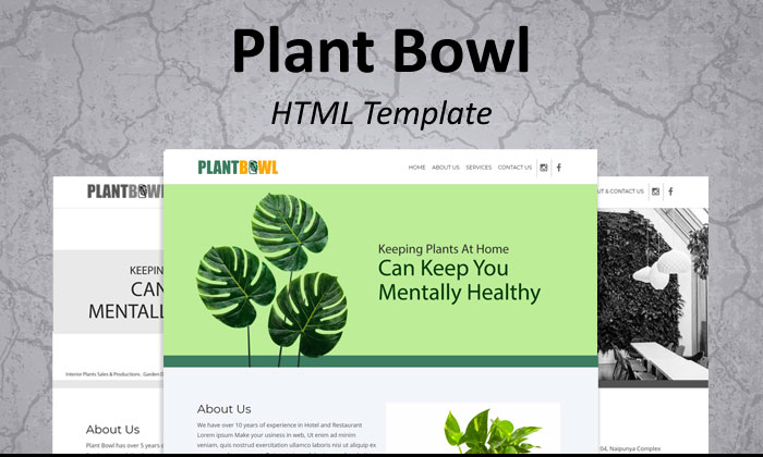 blog-image