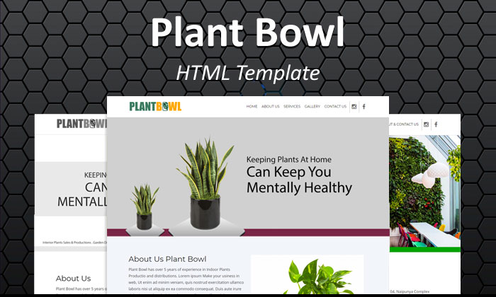 blog-image