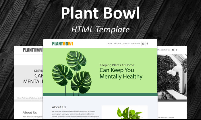 blog-image